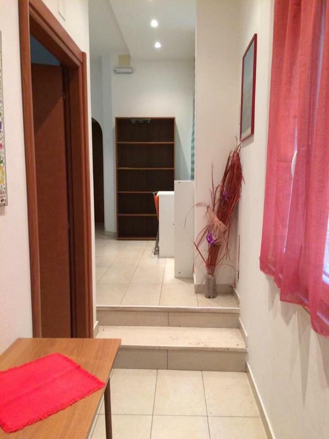 New Prophet Appartamenti Cattolica Dış mekan fotoğraf